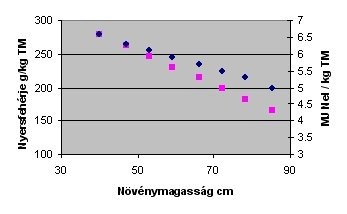 szaktanacsadas_1.png